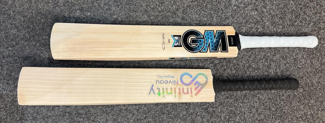 Kashmir Willow vs English Willow: A Detailed Comparison