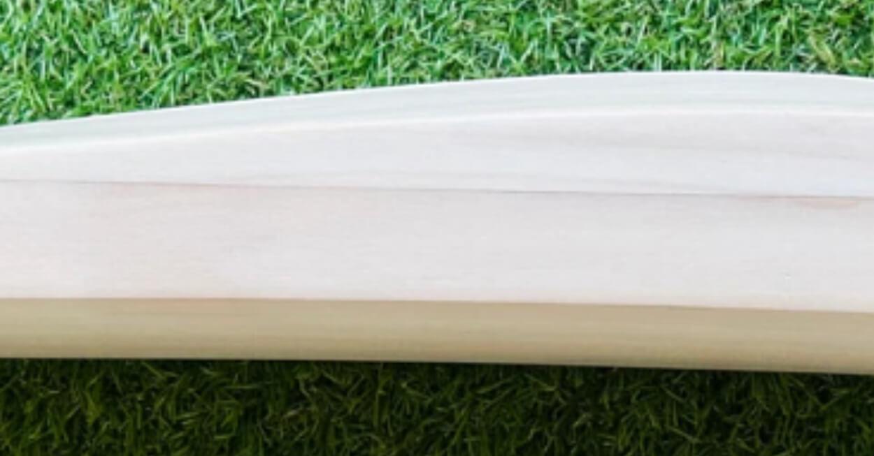 The Emergence of Laminated Cricket Bats