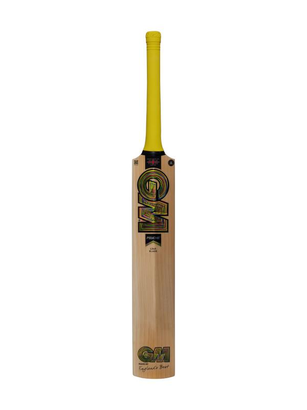 GM Psyche DXM 808 Delta Cricket Bat - main image