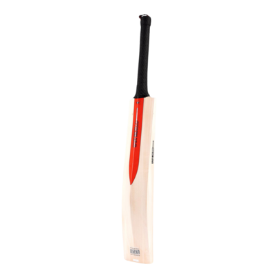 Gray Nicolls Legend Platinum Edition Cricket Bat - thumbnail image 5
