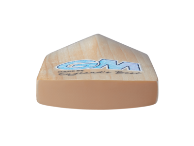 GM Kryos DXM 808 Cricket Bat - thumbnail image 3