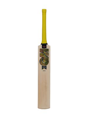 GM Psyche DXM Limited Edition Cricket Bat