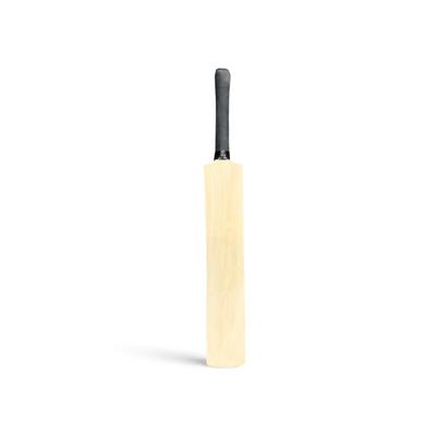 Infinity Mini Autograph Bat