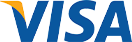 Visa Payment Icon